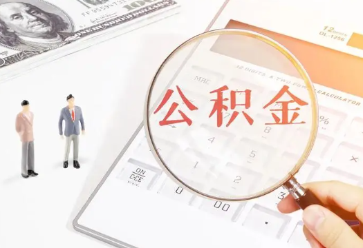 乐山2025年住房公积金政策对房地产市场的影响分析