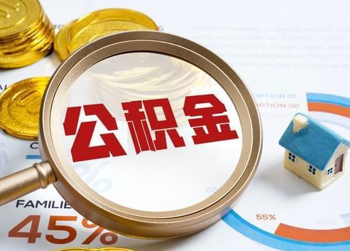 乐山2025年政策调整对个人影响综合解析