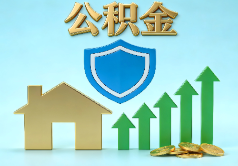 乐山当前住房公积金提取条件分类指南与政策趋势